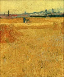 Korenveld met uitzicht op Arles