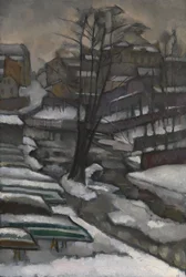 Sint-Petersburg in de winter