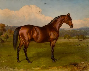 Retreat-Winnaar van de Doncaster Cup, ca. 1870-92