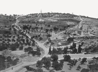 Olijfberg, Jeruzalem, Palestina, 1895