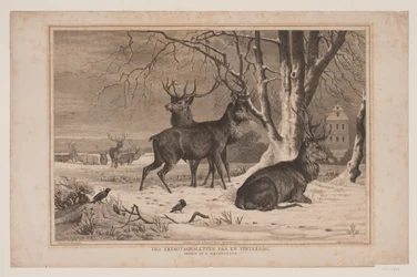 Van de Hermitagevlakte op een winterdag