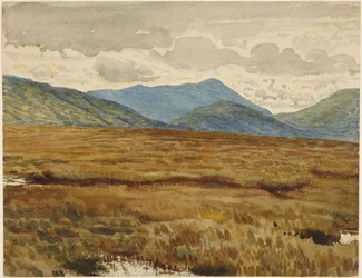 Aros Moor, eiland Mull