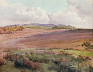 Het Nieuwe Bos: Over Malwood Walk vanaf de Weg naar Fritham