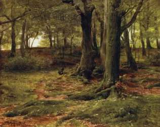Het Nieuwe Woud: The Hill Woods, Lyndhurst