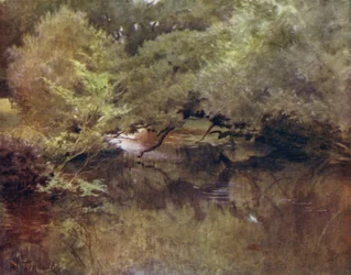 Het New Forest: De Lymington River bij Royden, nabij Boldre