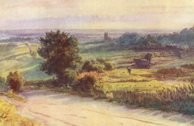 Wessex: Blackmore Vale vanuit Shaftesbury