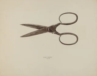 Schaar