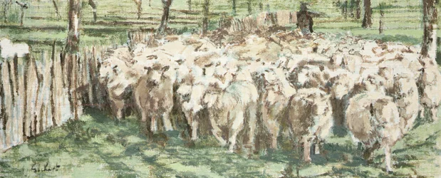 Wij allen als schapen