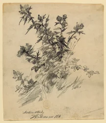 Natuurstudie
