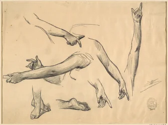 Studies van de Ledematen van een Vrouw