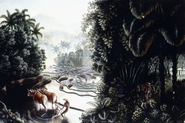 Uitzicht over de Sawahs naar Gunung Agung