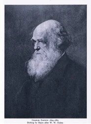 Ets van Charles Darwin, Natuur in Groot-Brittannië uitgegeven door Collins