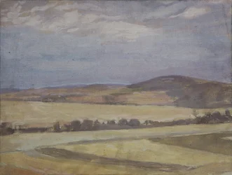 Landschap