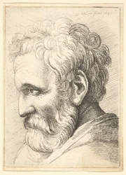 Baardige oude man, 1645