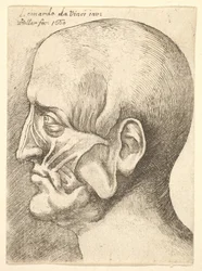 Ecorché-hoofd van een man in profiel naar links, 1660