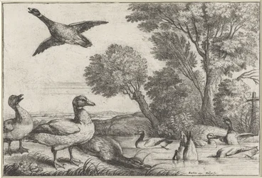 Eenden