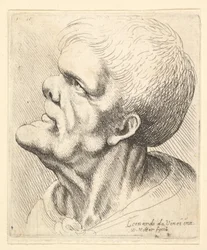 Kopstudie van een man met uitstekende kin en wipneus, omhoogkijkend in profiel naar links, 1625-77