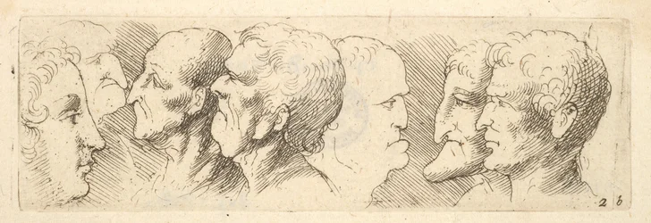 Hoofdstudies