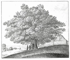 Holle Boom in Hampstead, 1663