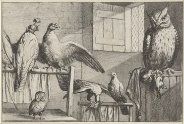 Valken en uilen in een schuur