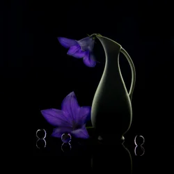 Paarse bloemen – Donkere elegantie