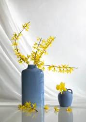 Gele bloemen in blauwe vazen