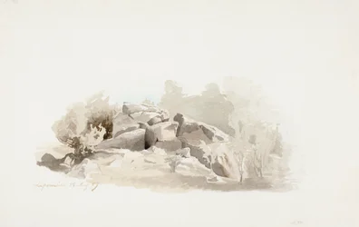 Een fragiele rotspunt omringd door struiken