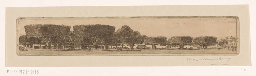Waringinbomen in de tuin van het paleis van de sultan in Jogyakarta