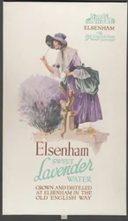 Elsenham Lavendel, 1920s