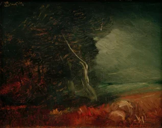 Somber bosrand (Aardappelvuur)