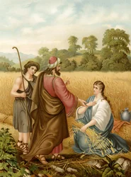 Ruth op het veld van Boaz