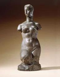 Hagener torso