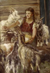 De geiten voeren