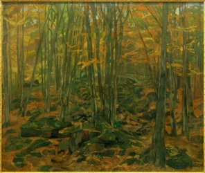 Rotsblokken in het Odenwald