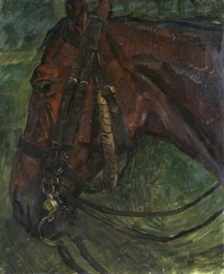 Paardenhoofd