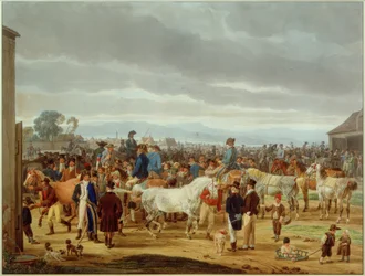 Paardenmarkt