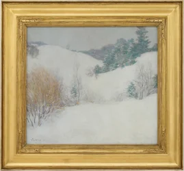 De Witte Weide