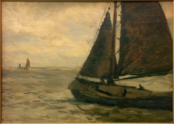 Zeilende botter
