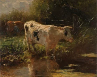 Koe aan de slootkant