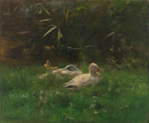 Eenden