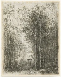 Boslandschap met houtsprokkelaars