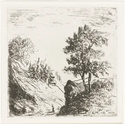 Heuvellandschap met twee bomen op rots