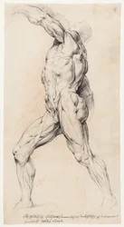 Anatomische studie (écorché)