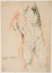 Anatomische studie (écorché). Vooraanzicht van staande gevilde man, zijn linkerarm opgeheven