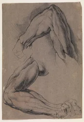 Anatomische studie (écorché). Twee studies van een gevilde linkerarm van een man
