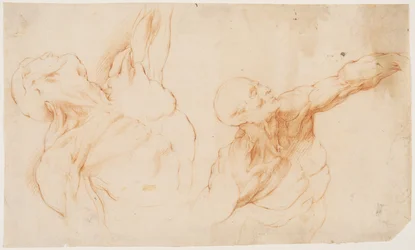 Twee anatomische studies (écorchés). Gevild torso van een man, zijn linkerarm opgeheven