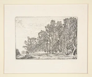 Twee plank-hekken, Plaat 6 uit De Set van de Landschappen
