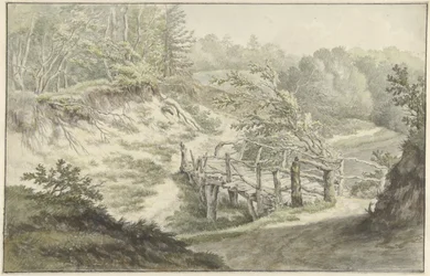 Duinlandschap met houten brug