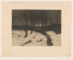 Bospad in Ewijkshoeve