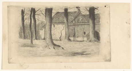 Bomen bij een huis